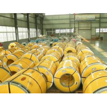 304 Cold Rolled Stainless Steel Coil